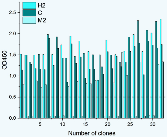 實(shí)驗結果分析和討論