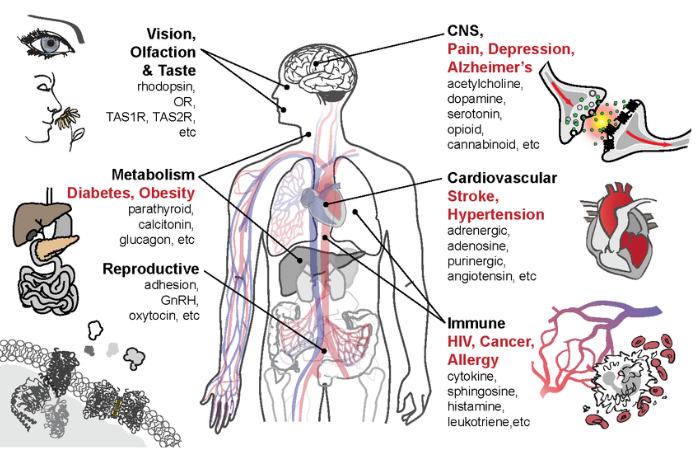 圖片2.png 圖片2.png