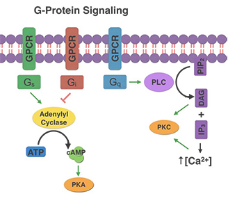 圖片3.png 圖片3.png