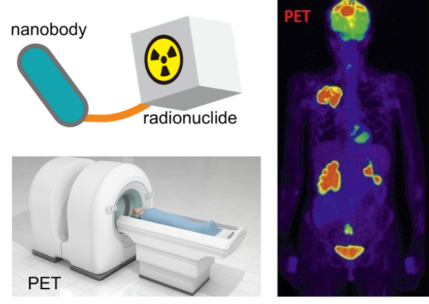 圖片7.png 圖片7.png