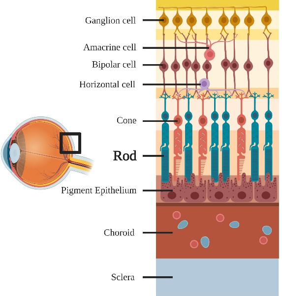 圖片1.png 圖片1.png