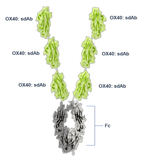 圖片7.png 圖片7.png