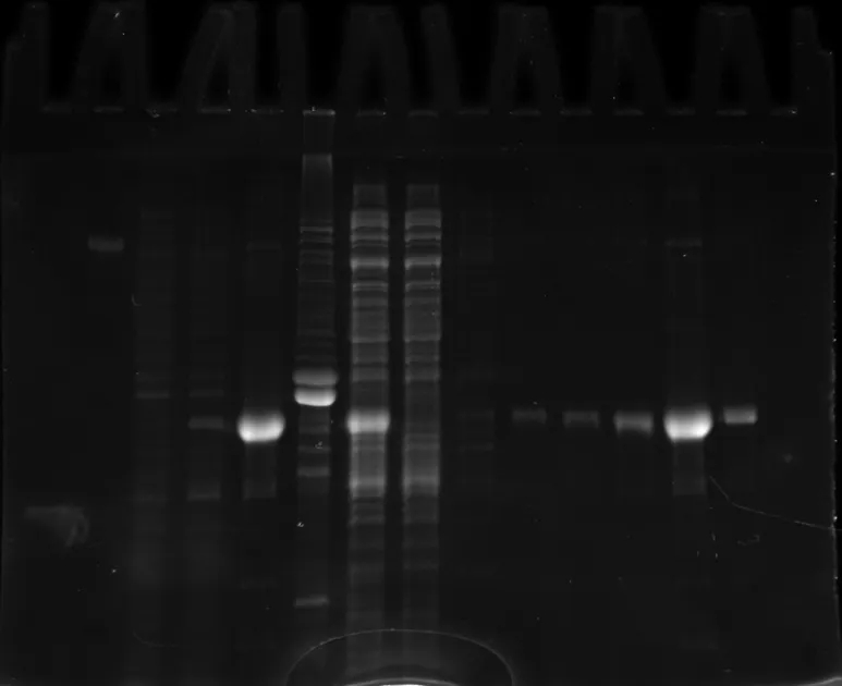 20240428134936558.jpg 20240428134936558.jpg