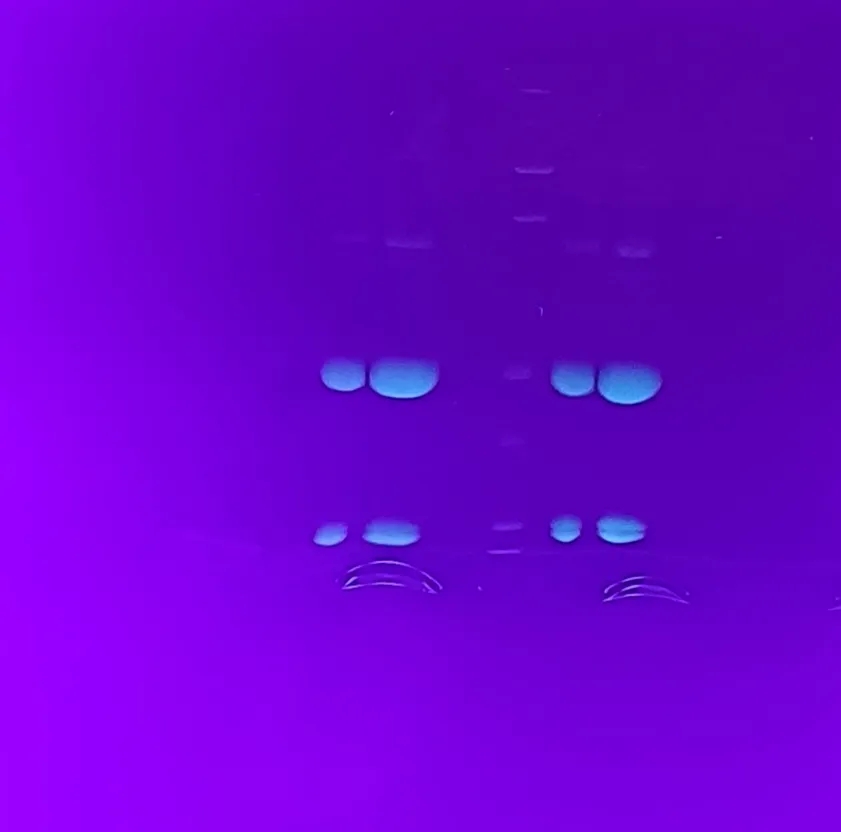 1.webp.jpg 1.webp.jpg