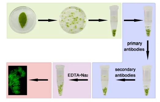 1.webp (1).jpg 1.webp (1).jpg