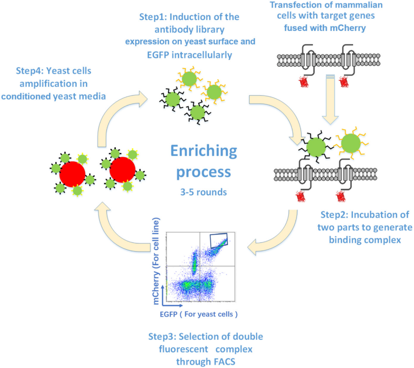 微信圖片_20240611160052.png 微信圖片_20240611160052.png