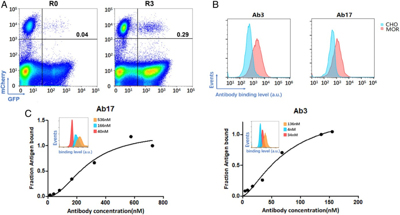 微信圖片_20240611160104.png 微信圖片_20240611160104.png